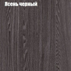 Прихожая ДИАНА-4 сек №10 (Ясень анкор/Дуб эльза) в Камышлове - kamyshlov.ok-mebel.com | фото 3