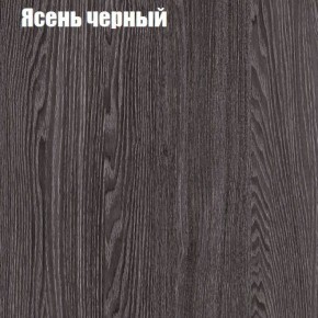 Прихожая ДИАНА-4 сек №11 (Ясень анкор/Дуб эльза) в Камышлове - kamyshlov.ok-mebel.com | фото 3