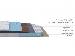 PROxSON Матрас Совенок (Cotton Little PROSON) 60x140 в Камышлове - kamyshlov.ok-mebel.com | фото 2