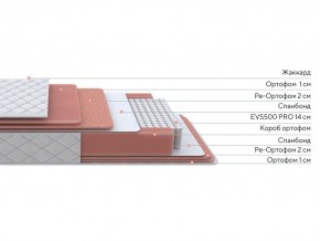 PROxSON Матрас Standart Plus M (Ткань Жаккард) 120x190 в Камышлове - kamyshlov.ok-mebel.com | фото 2
