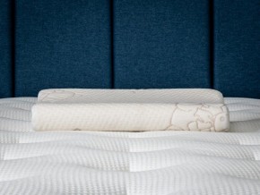 PROxSON Подушка Кроха (Ткань Трикотаж) 39x24 в Камышлове - kamyshlov.ok-mebel.com | фото 6