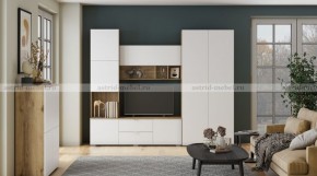 МИЛАН-1 Секция ТВ (ЦРК.МЛН.01 секция ТВ) в Камышлове - kamyshlov.ok-mebel.com | фото 3