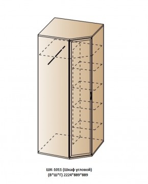 ШК-1011 (Шкаф угловой) в Камышлове - kamyshlov.ok-mebel.com | фото