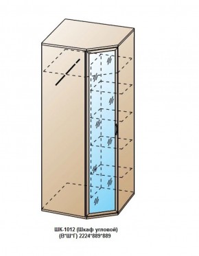 ШК-1012 (Шкаф угловой) в Камышлове - kamyshlov.ok-mebel.com | фото