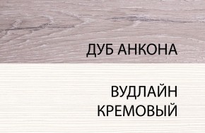 Шкаф 1DG, OLIVIA, цвет вудлайн крем/дуб анкона в Камышлове - kamyshlov.ok-mebel.com | фото 3