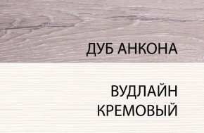 Шкаф 1DW, OLIVIA, цвет вудлайн крем/дуб анкона в Камышлове - kamyshlov.ok-mebel.com | фото 3