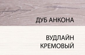 Шкаф 1DZ, OLIVIA, цвет вудлайн крем/дуб анкона в Камышлове - kamyshlov.ok-mebel.com | фото 3