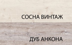 Шкаф 2D1S, MONAKO, цвет Сосна винтаж/дуб анкона в Камышлове - kamyshlov.ok-mebel.com | фото