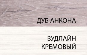 Шкаф 2DG, OLIVIA, цвет вудлайн крем/дуб анкона в Камышлове - kamyshlov.ok-mebel.com | фото 3