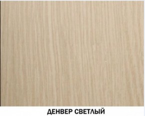 Шкаф для одежды №609 "Инна" Денвер светлый (*без полок) в Камышлове - kamyshlov.ok-mebel.com | фото 4