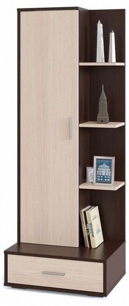 Шкаф книжный СТ-9 в Камышлове - kamyshlov.ok-mebel.com | фото
