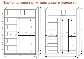 Шкаф-купе 1600 серии SOFT D6+D4+B2+PL2 (2 ящика+1штанга+1 полка) профиль «Капучино» в Камышлове - kamyshlov.ok-mebel.com | фото 9