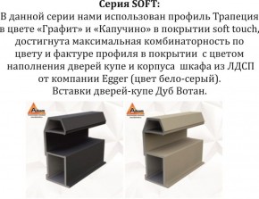 Шкаф-купе 1800 серии SOFT D1+D3+B2+PL1 (2 ящика+1штанга) профиль «Графит» в Камышлове - kamyshlov.ok-mebel.com | фото 11