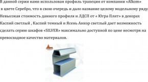 Шкаф-купе 2250 серии SILVER S7+S1+S7Z B22+PL1 (по 2 ящика лев/прав+1штанга) профиль «Серебро» в Камышлове - kamyshlov.ok-mebel.com | фото 4