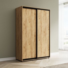 Шкаф-купе Акцент-Сим Д 1600-600 в Камышлове - kamyshlov.ok-mebel.com | фото 4