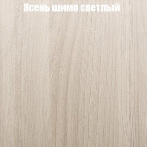 Шкаф-купе «ТАНДЕМ» 2-х дверный в алюминиевом профиле (Дверь К+К) 1200/h2200 в Камышлове - kamyshlov.ok-mebel.com | фото 6