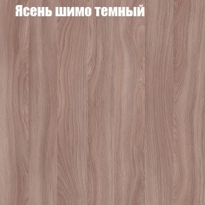 Шкаф-купе «ТАНДЕМ» 2-х дверный в алюминиевом профиле (Дверь К+К) 1400/h2200 в Камышлове - kamyshlov.ok-mebel.com | фото 7