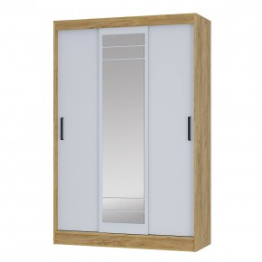 Шкаф-купе Тео ШКК-02 (крафт/белый) в Камышлове - kamyshlov.ok-mebel.com | фото 2