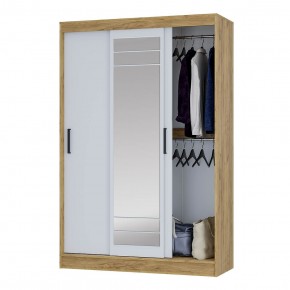 Шкаф-купе Тео ШКК-02 (крафт/белый) в Камышлове - kamyshlov.ok-mebel.com | фото 3