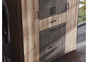 Шкаф платяной Паркинс в Камышлове - kamyshlov.ok-mebel.com | фото 3