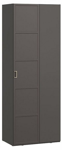 Шкаф платяной Стелла в Камышлове - kamyshlov.ok-mebel.com | фото
