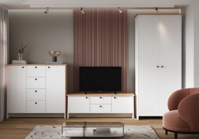 Шкаф платяной Теодора в Камышлове - kamyshlov.ok-mebel.com | фото 4