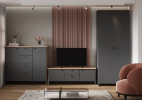 Шкаф платяной Теодора в Камышлове - kamyshlov.ok-mebel.com | фото 3