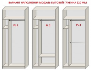 Шкаф распашной серия «ЗЕВС» (PL3/С1/PL2) Серый камень/Небраска натуральный в Камышлове - kamyshlov.ok-mebel.com | фото 5