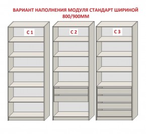 Шкаф распашной серия «ЗЕВС» (PL3/С1/PL2) Серый камень/Небраска натуральный в Камышлове - kamyshlov.ok-mebel.com | фото 6