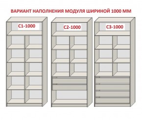 Шкаф распашной серия «ЗЕВС» (PL3/С1/PL2) Серый камень/Небраска натуральный в Камышлове - kamyshlov.ok-mebel.com | фото 7