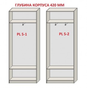 Шкаф распашной серия «ЗЕВС» (PL3/С1/PL2) Серый камень/Небраска натуральный в Камышлове - kamyshlov.ok-mebel.com | фото 8