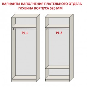 Шкаф распашной серия «ЗЕВС» (PL3/С1/PL2) Серый камень/Небраска натуральный в Камышлове - kamyshlov.ok-mebel.com | фото 9