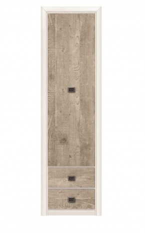 Шкаф REG1D2S (МС Коен) ясень снежный в Камышлове - kamyshlov.ok-mebel.com | фото
