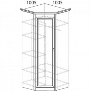 Шкаф угловой №662 "Флоренция" Фасад глухой (угол 1005*1005) Дуб оксфорд в Камышлове - kamyshlov.ok-mebel.com | фото 3