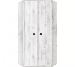 Шкаф угловой JSZFN 2d (МС Индиана) сосна каньон в Камышлове - kamyshlov.ok-mebel.com | фото