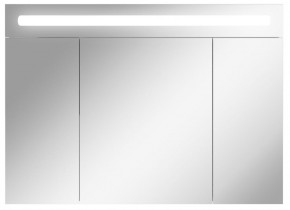 Шкаф-зеркало Аврора 100 с подсветкой LED Домино (DV8012HZ) в Камышлове - kamyshlov.ok-mebel.com | фото 1