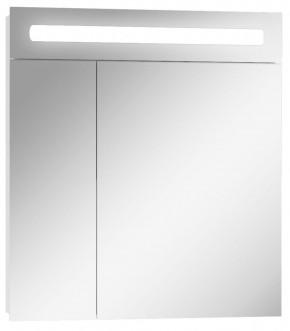 Шкаф-зеркало Аврора 65 с подсветкой LED Домино (DV8006HZ) в Камышлове - kamyshlov.ok-mebel.com | фото