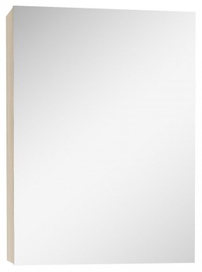 Шкаф-зеркало Мечта 40 Дуб сонома АЙСБЕРГ (DM2317HZ) в Камышлове - kamyshlov.ok-mebel.com | фото 1