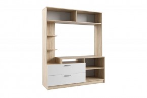 СОФИ СЦС1400.2 Гостиная №2 (дуб сонома/белый) в Камышлове - kamyshlov.ok-mebel.com | фото