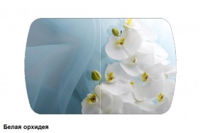 Стол Бостон 900*600 (опоры Брифинг) Стекло/фотопечать Белая Орхидея в Камышлове - kamyshlov.ok-mebel.com | фото