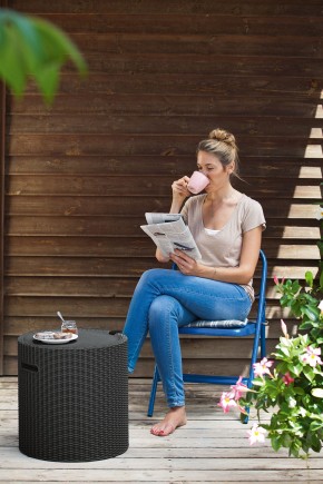 Столик-холодильник Кул-Стул (Cool stool) графит в Камышлове - kamyshlov.ok-mebel.com | фото