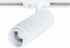 Светильник на штанге Arte Lamp Merak A3530PL-1WH в Камышлове - kamyshlov.ok-mebel.com | фото