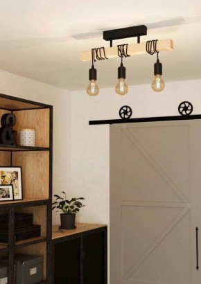 Светильник на штанге Eglo TOWNSHEND 43511 в Камышлове - kamyshlov.ok-mebel.com | фото 2