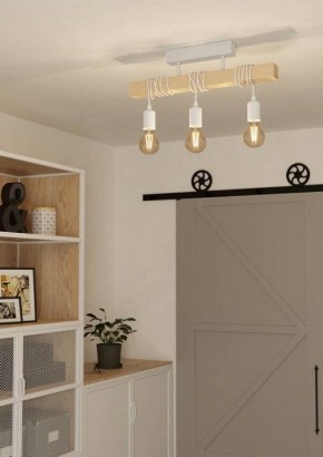 Светильник на штанге Eglo TOWNSHEND 44082 в Камышлове - kamyshlov.ok-mebel.com | фото 2
