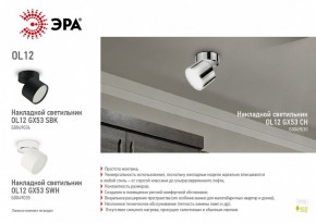 Светильник на штанге Эра OL12 GX53 SBK Б0049034 в Камышлове - kamyshlov.ok-mebel.com | фото 5