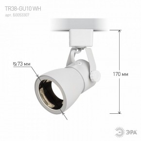 Светильник на штанге Эра  TR38-GU10 WH в Камышлове - kamyshlov.ok-mebel.com | фото 6