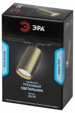Светильник на штанге Эра  TR39-GU10 BS в Камышлове - kamyshlov.ok-mebel.com | фото 4