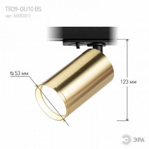 Светильник на штанге Эра  TR39-GU10 BS в Камышлове - kamyshlov.ok-mebel.com | фото 6