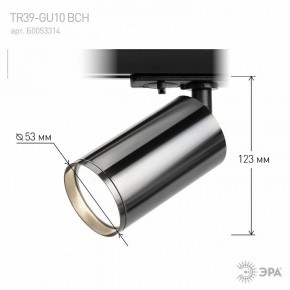 Светильник на штанге Эра  TR39-GU10 ВСН в Камышлове - kamyshlov.ok-mebel.com | фото 7