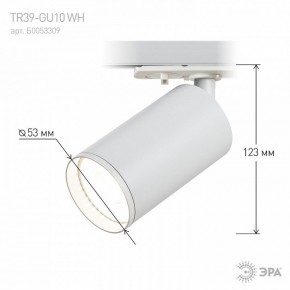 Светильник на штанге Эра  TR39-GU10 WH в Камышлове - kamyshlov.ok-mebel.com | фото 7